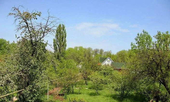 База отдыха «Домнареке»