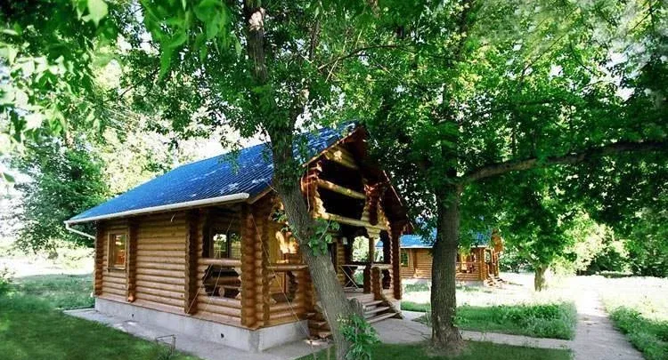 Синяя птица — фото 4