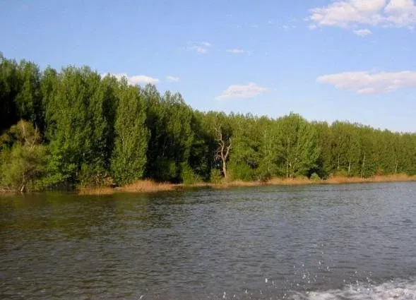 База отдыха «Синяя птица» — фото 2