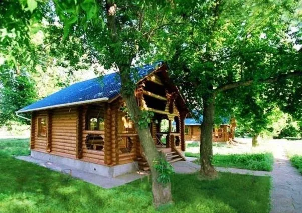 База отдыха «Синяя птица» — фото 3