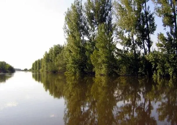 База отдыха «Синяя птица» — фото 5