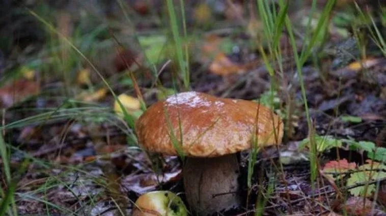 Место встречи — фото 5