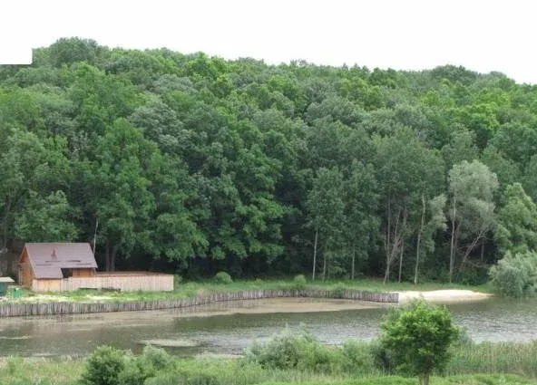 База отдыха 'Мелихово' — фото 3