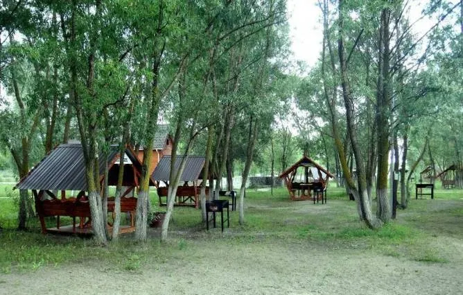 Шоколад