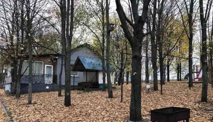 Зеленая поляна
