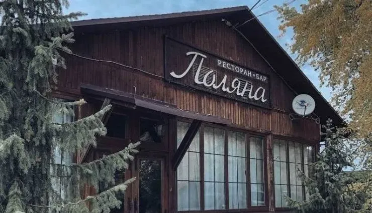 Зеленая поляна — фото 4