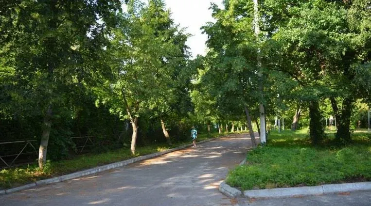 Вьюнки