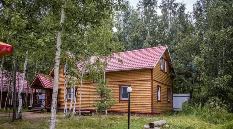 Березовый рай