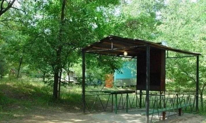 Турбаза «Отдых на Волге» — фото 5