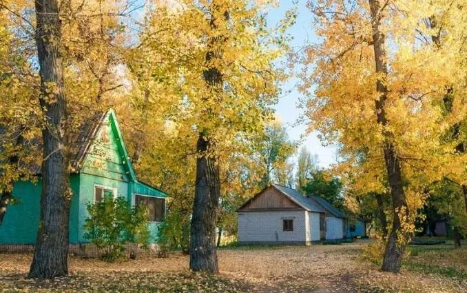 Деревня на Ахтубе (Ахтуба Вилладж) — фото 2