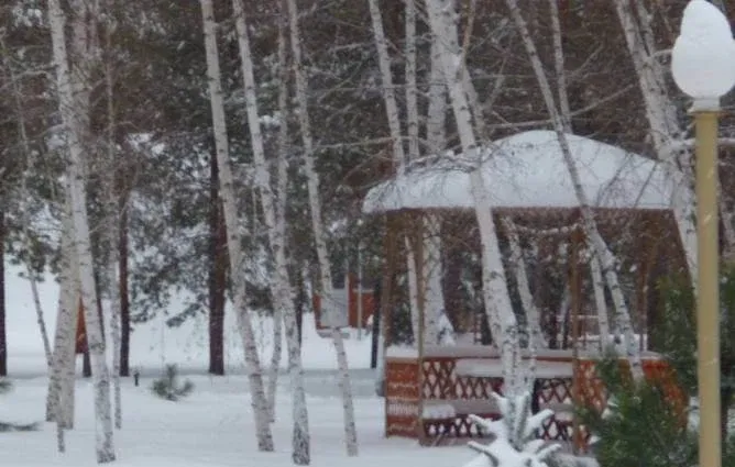Осинки