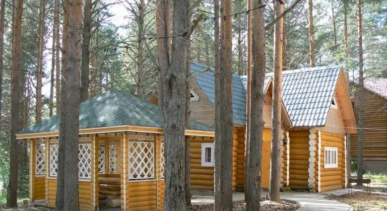 Гостевой дом «Вьюга» — фото 4