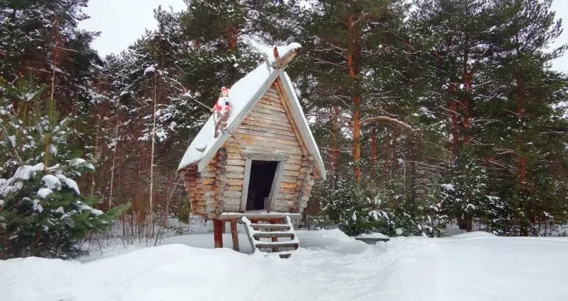 База отдыха «Остров» — фото 3