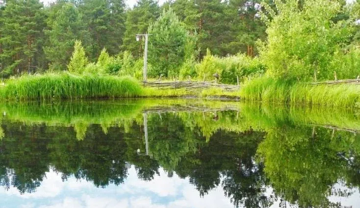 База отдыха «Остров» — фото 5
