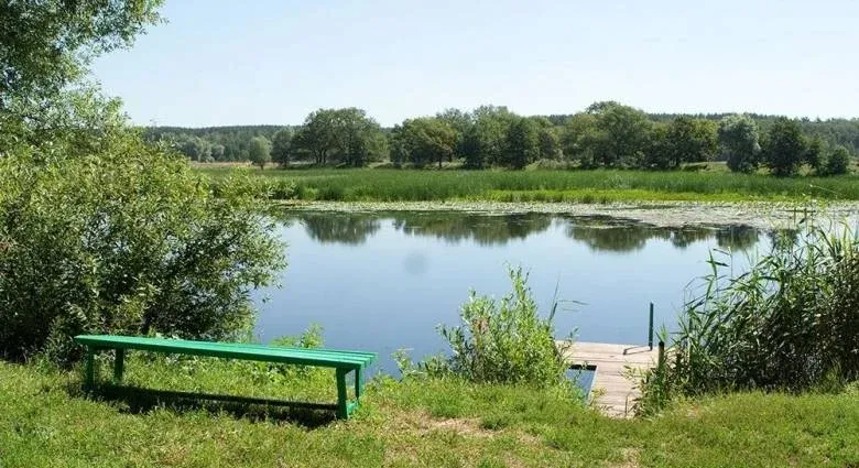 База отдыха «Белые пески»