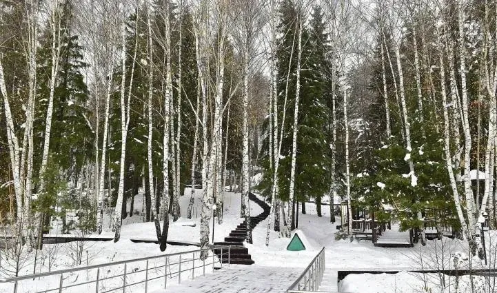Эко-комплекс «Деревенский дом» (Кантри Хоум) — фото 3