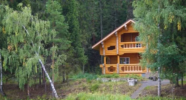 Лесная сказка