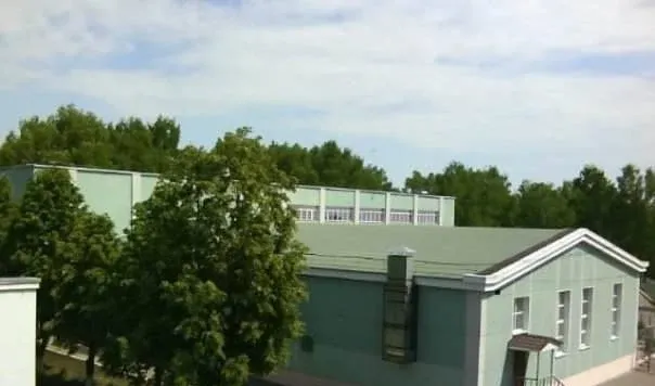 Березовая роща