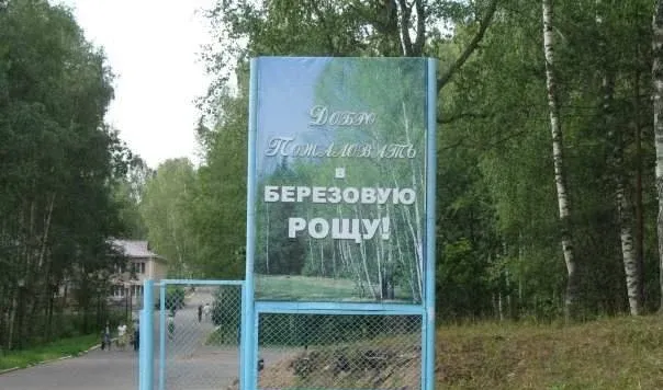 Березовая роща — фото 2