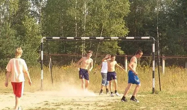 Березовая роща — фото 5