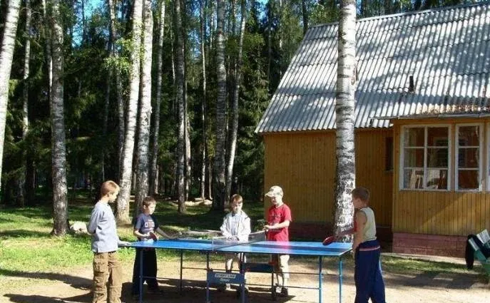 Зеленый городок — фото 2