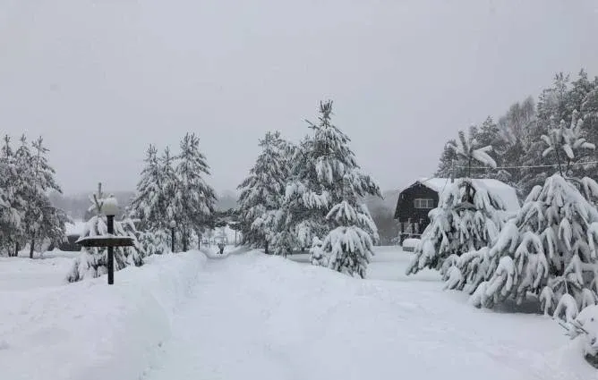 Лежневская Лагуна