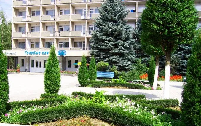 Голубые ели