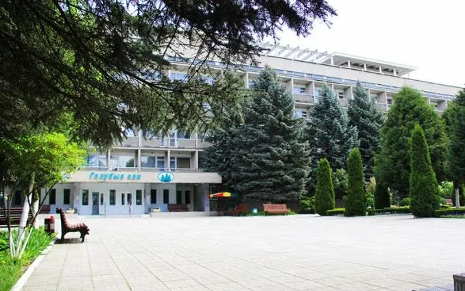 Голубые ели — фото 2