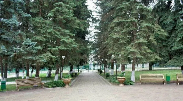 Горный родник — фото 5