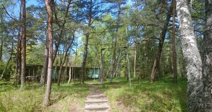 Гостевой дом «Лесное» — фото 5