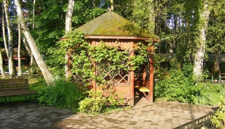 Санаторий «Янтарь» — фото 2