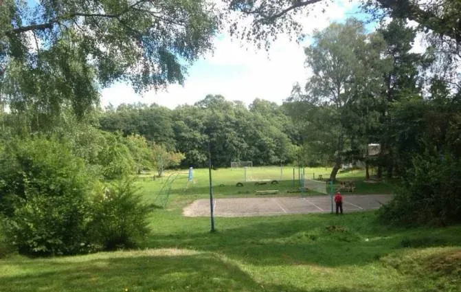 Сосновая поляна