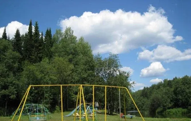 Шинник