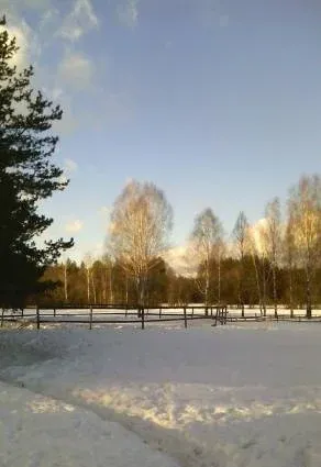 Славянка Чили — фото 5
