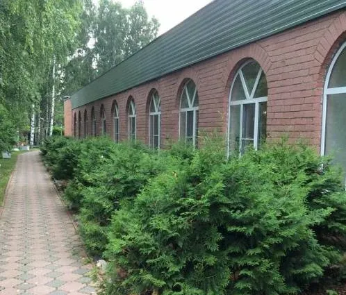 Волга — фото 4