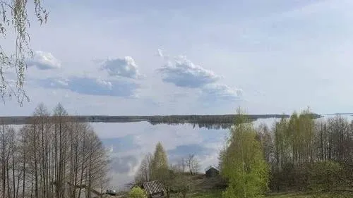 Волошново — фото 4