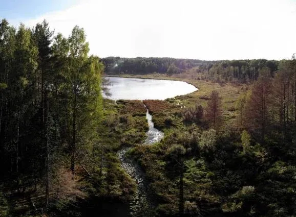 Гостиница «Лесной терем» — фото 2