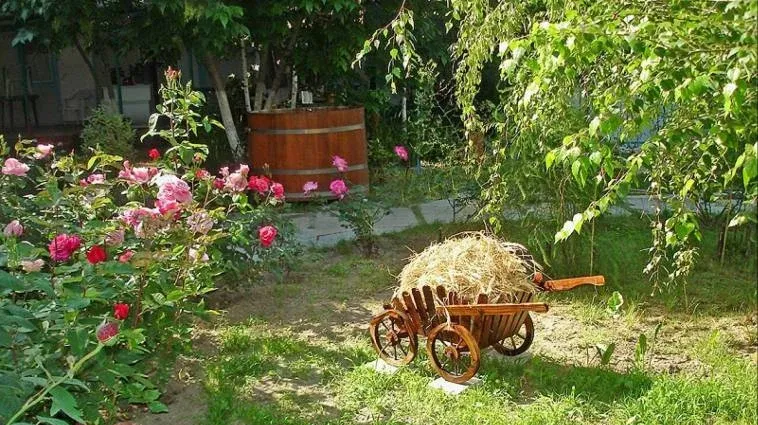База отдыха «Крестьянское подворье» — фото 5