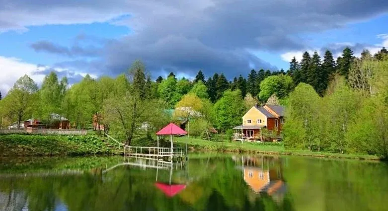 База отдыха «Пихтовый бор» — фото 4