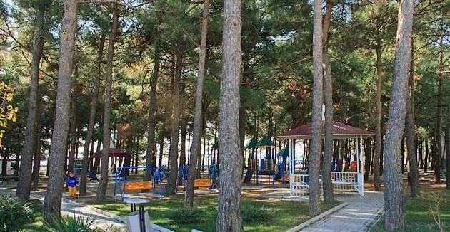 Солнечная