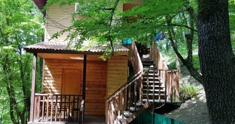 База отдыха «Море сосен»