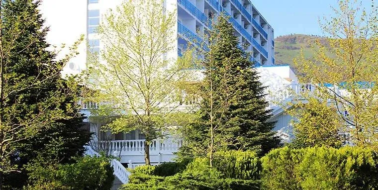 Оркестра горизонт — фото 5