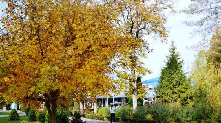Предгорье Кавказа — фото 5
