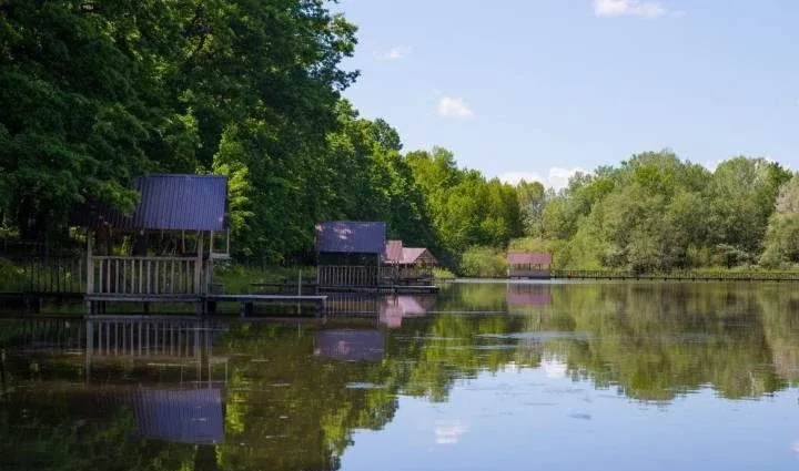 Резиденция Комфорта «Семейный Рыбалка» (Family Fishing) — фото 5