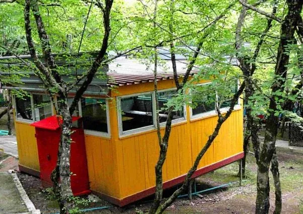 База отдыха «Дубрава» — фото 2