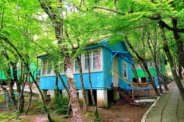 База отдыха «Дубрава» — фото 4