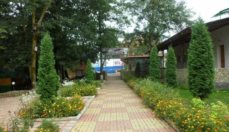 База отдыха «Тавуш» — фото 5