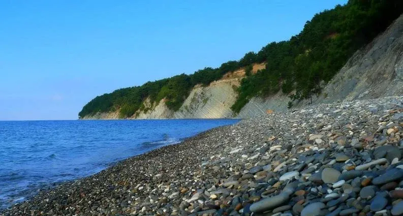 База отдыха «Золотой колос» — фото 2