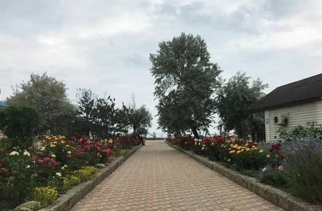 База отдыха «Дельфин» — фото 2