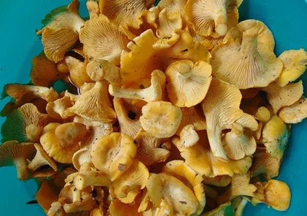 База отдыха 'У Макса'
